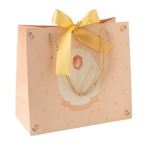 MtgobO bsO 3  񂰑 ^Cv v[g o 22x10x20cm sN M