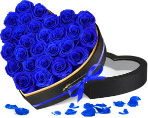 vU[uht[ 27  ͂Ȃ{KN Ԕ 肠  FB lC  j ̓ LO  a v[g v|[Y