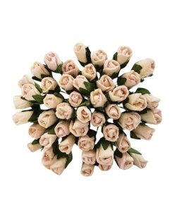  o ڂ ɏ ~jTCY oCJ[^tbVsN 50{ 3-5mm a  nhChf ~j`Ap y[p[t[