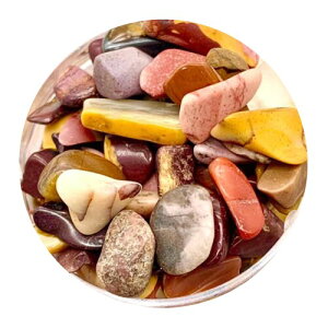 VR   W  ꂢ Ntg p[c a p[Xg[ ANZT[ z΃RNV (ubhXg[)