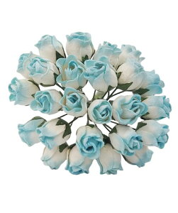  o ڂ Ղ  ~jTCY oCJ[^Cgu[ 25{Zbg 13FWJ a  nhChf y[p[t[ ~j`Ap