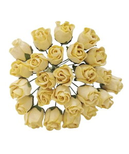  o ڂ Ղ  ~jTCY F 25{Zbg 13FWJ a  nhChf y[p[t[ ~j`Ap