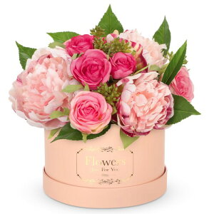 Villa Como  ԑ [Y o O A[gt[ u[P  ͂Ȃ ̓ a Ǝ LO zCgf[ VN NX}X 搶̓ v[g  {bNX (s