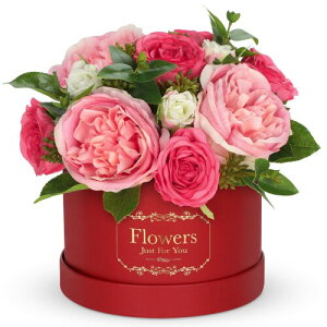 Villa Como  ԑ [Y o O A[gt[ u[P  ͂Ȃ ̓ a Ǝ LO zCgf[ VN NX}X 搶̓ v[g  {bNX (