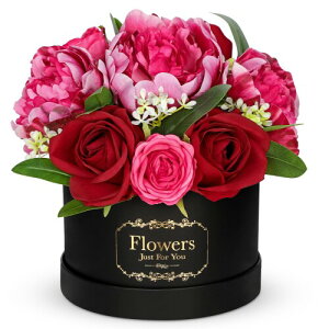 Villa Como  ԑ [Y o O A[gt[ u[P  ͂Ȃ ̓ a Ǝ LO zCgf[ VN NX}X 搶̓ v[g  {bNX (u