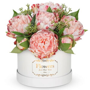 Villa Como  ԑ [Y o O A[gt[ u[P  ͂Ȃ ̓ a Ǝ LO zCgf[ VN NX}X 搶̓ v[g  {bNX (z