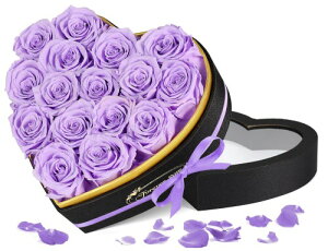 vU[uht[ F ͂Ȃ{KN Ԕ 肠  lC  j ̓ LO   a v[g n[g{bNXAWg