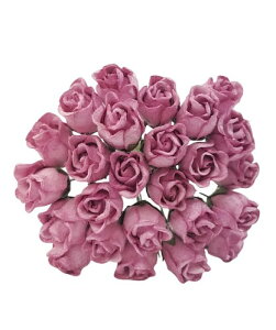  o ڂ Ղ  ~jTCY  25{Zbg 13FWJ a  nhChf y[p[t[ ~j`Ap