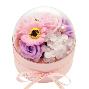 BlissPost \[vt[ Mtg ԑ h[^ CeA t[{bNX KN u[P ͂Ȃ  a ̓ LO  Əj  hV̓ lC v