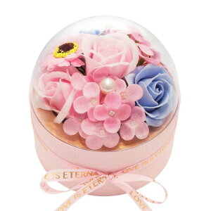 BlissPost \[vt[ Mtg ԑ h[^ CeA t[{bNX KN u[P ͂Ȃ  a ̓ LO  Əj  hV̓ lC v