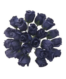  o ڂ Ղ  ~jTCY F 25{Zbg 13FWJ a  nhChf y[p[t[ ~j`Ap