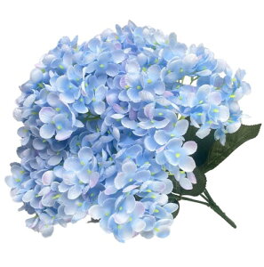 himsyuden AWTC z  5 VNt[   A[gt[ DIYԍ Be lH Mtg j ԑ ItBX iX  CeA