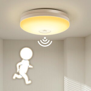 ICHIYO LED lZT[ V[OCg ^ dF 1100lm ԃCg LED Ɩ ʏ gC Lb` L  _ ZT[Cg ȒPt Hsv  Ɩ V[O