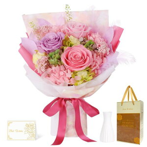 vU[uht[ sNƃp[v ԑ 3{KN 肠 ԕrt ͂Ȃ ̓  lC u[P a hV̓ v[g