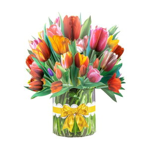 ̃o[Xf[J[hAԑ3D|bvAbvO[eBOA3D|bvAbvAa ̃NX}X̓A̒aJ[hA̓AӍՁAjJ[h a J[h ha