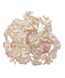  TN\E ~jTCY oCJ[^sN 50{Zbg n[g̉Ԃт 7FWJ a  nhChf y[p[t[ ~j`Ap