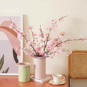 Bacucine  ̉ ̎} lH  VN ͂Ȃ tFCN t[ z[ EFfBO ItBX fR[V sN 6Zbg  蕨 (sN)