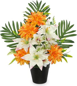 Villa Como  A[gt[ ͂Ȃ   ~ A _A S O CeA tFCNO[   rO  ItBX ̓ (IWE_A)