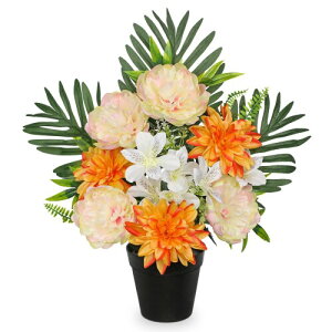 Villa Como  A[gt[ ͂Ȃ   ~ A _A S O CeA tFCNO[   rO  ItBX ̓ (N[FEO)