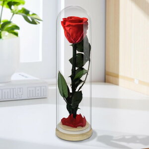 vU[uht[ 1փo v[g bh ͂Ȃ KXh[ ޏ ̓ ̓ a o^Cf[ NX}X  LO t[Mtg j v|[Y 