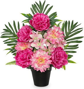 Villa Como  A[gt[ ͂Ȃ   ~ A _A S O CeA tFCNO[   rO  ItBX ̓ i[YsNEO