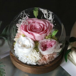 Gugxiom vU[uht[ ͂Ȃ uU[ht[ bZ[WJ[ht Ȃ֒a  Vz j  ̓ v|[Y MtgiTNsNj