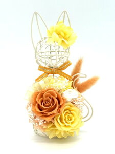 Ԋseina vU[uht[ LLt[Mtg v[g { L C[ (IW/zCg)