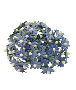  RXX ~jTCY CfBS 50{Zbg 7FWJ a  nhChf y[p[t[ ~j`Ap