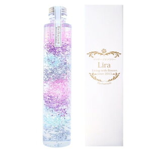 Ԍt JX~ n[oE vU[uht[Lira 21.5cm ~^ Mtg v[g 蕨 (CgVo[)