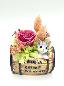 Ԋseina vU[uht[ ~j L FV |bh v[g t[AWg ͂Ȃo  CeAu (sN/^)