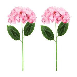 seimeinoki z sN AWTC  ͂Ȃ CeA 45cm VNt[ tFCNt[ { A[gt[ CeA ʐ^ 