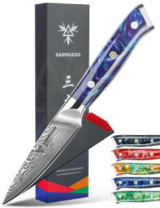 SANMUZUO 3.5 Inch Paring Knife - Kitchen Fruit Peeling Knife Damascus Steel & Resin Handle - XUAN Series(Sapphire Blue)
