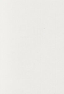 3583 PPLS J[v[y[p[ FNtg A4  0.2mm Pi (19) zCg 100