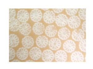 TOa pup (1Zbg100) e ()(JTCY)