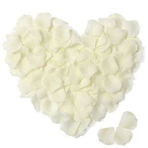 Ԃт o KN    v|[Y LO a }`bNȖ o^Cf[ z[p[e ̉ Be oɃ[Y j (N[FC1000Zbg)