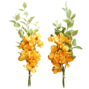   [Y p ̉ԑ F STCY    2 42cm MEMORIES PREMIUM  dp ͂Ȃ ~ ފ A { ͂Ȃ  I[Lbh CG[ F S