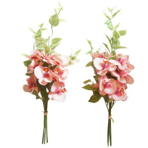   [Y p ̉ԑ sN STCY    2 42cm MEMORIES PREMIUM  dp ͂Ȃ ~ ފ A { ͂Ȃ  I[Lbh sN S