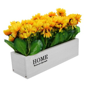 OUNONA  ȔA Ђ܂ lHϗtA tFN V~[Vt[ ` ؐ v^[ e[u Lb`̑ CeA EFfBO fR[V Be