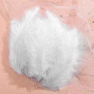 Doyeemei HV[ tFU[V[ H Ղ 200 H p Ղ tFU[ EFfBO  a Cxg p[eB[ |ޗ H|i DIY Xq  N