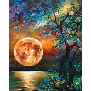 Hlison DIY Paint by Numbers lp SҌ  ȒP ŃyCg SҌ ɂAN ʊG̋ qp ɂG  16x20C`