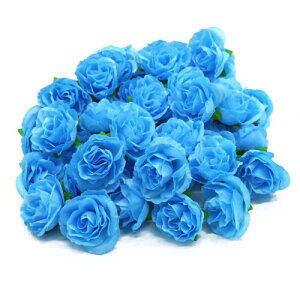 tFCN[Y 50PCS  ėp\ V~[V[Y DIY()