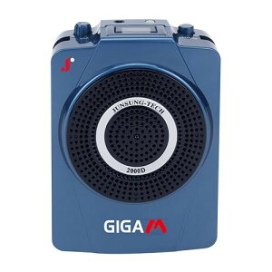 GIGAPHONE 2000D 40W |[^u剹ʉAvACXM@t