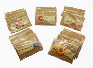 Olive-G  ~jTCY bZ[WJ[h O[eBOJ[h t 30Zbg