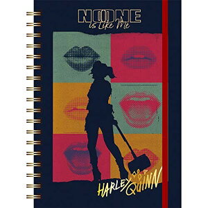 n[CENC̉ؗȂo BIRDS OF PREY SohtOm[g (CbN)