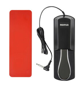 MiDiPLUS sp-1 Sustainy_, Ԃ~߃pbht