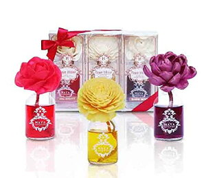 } t[fBt[U[ MtgZbg 3x50ml (SET A)