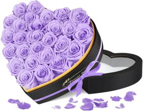 vU[uht[ 27 F ͂Ȃ{KN Ԕ 肠  lC  j ̓ LO  a v[g