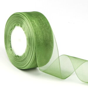 DRERIO {  L 45m×4cm  bsO{ | NX}X I[KW[{  炩n ribbon |  ԍ    (΁j