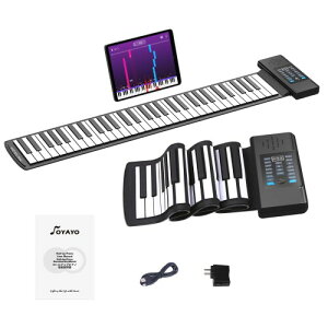 OYAYO [sAm 61 [AbvsAm USB[d MIDIΉ ^щ\ 128F 128Y 14f S q {t (RD61)