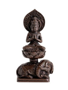  F 7.6cm iX^j tFqcG_ ^QiCEN܂j\x{ x (COӂڂS)